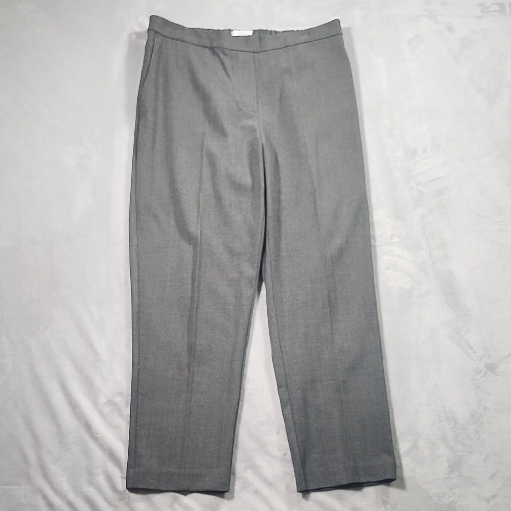 Hudson North Gray Pants